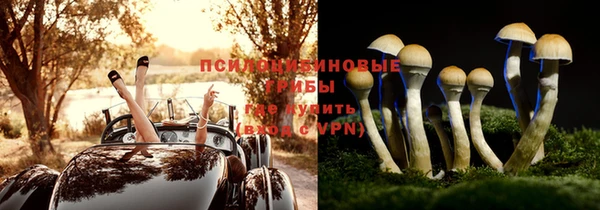 apvp Баксан